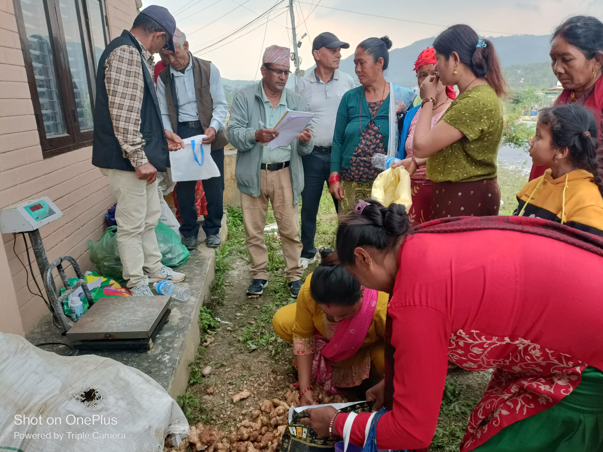 Supported ginger & turmeric seeds to the farmer’s group